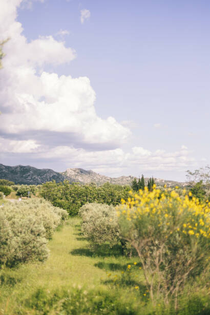 Luxury Pic-Nic Maison Bounon