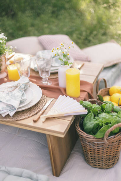 Luxury Pic-Nic Maison Bounon