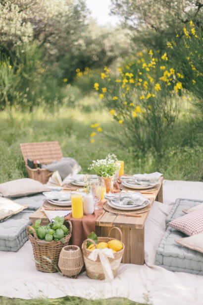 Luxury Pic-Nic Maison Bounon